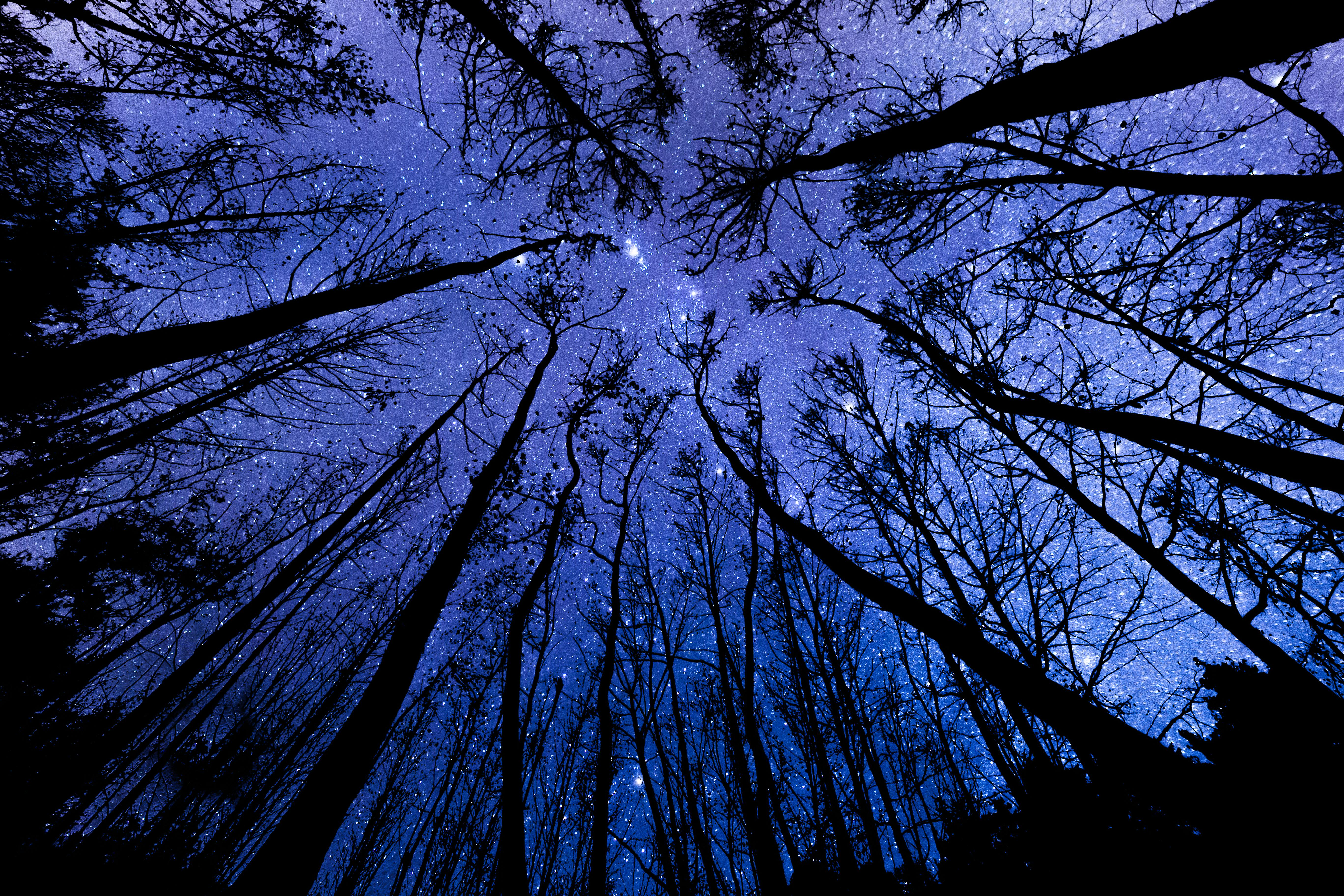 Rare Blue Fireball Streaks Across Tennessee, Leaving All In Awe