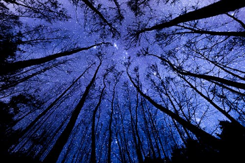 Rare Blue Fireball Streaks Across Tennessee, Leaving All In Awe