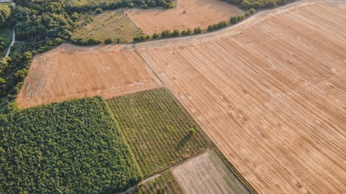 Aerial Shot of a Cropland
