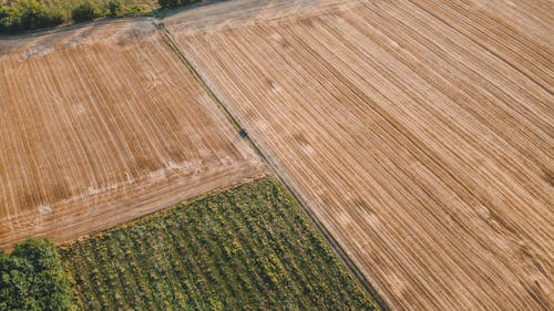 Δωρεάν στοκ φωτογραφιών με αγροτικός, αεροφωτογράφιση, γεωργία Φωτογραφία από στοκ φωτογραφιών
