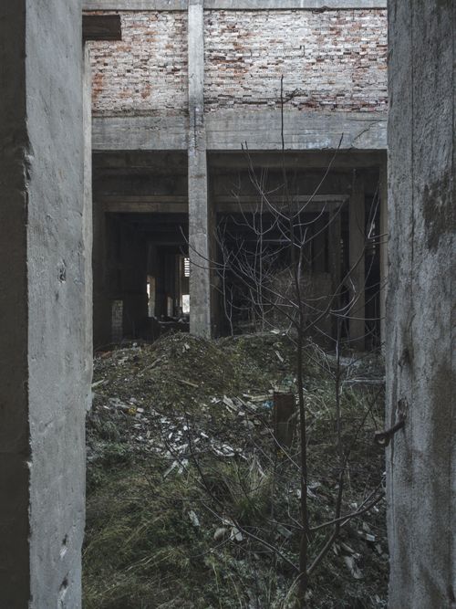 Free stock photo of abandoned, abandoned building, brick building Stock Photo