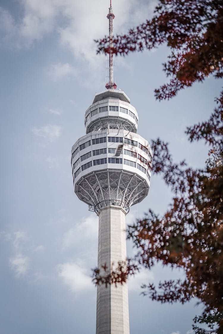 View Of 83 Tower In Daegu, Korea