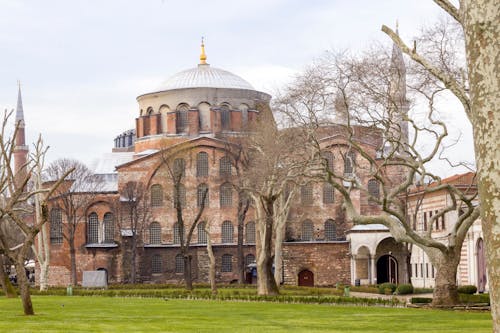 Fotobanka s bezplatnými fotkami na tému architektúra, bezlisté stromy, budova