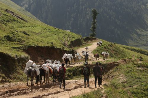 Free Adventure travelers guiding pack horses through scenic mountain terrain. Stock Photo