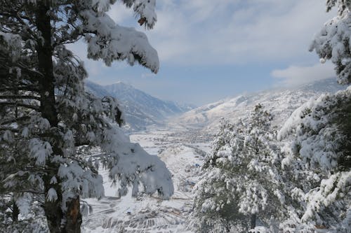 Immagine gratuita di alberi coperti di neve, cielo nuvoloso, montagne coperte di neve