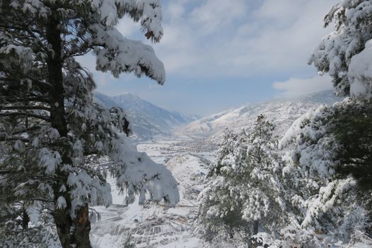 A serene winter landscape of snow-covered mountains and pine trees.