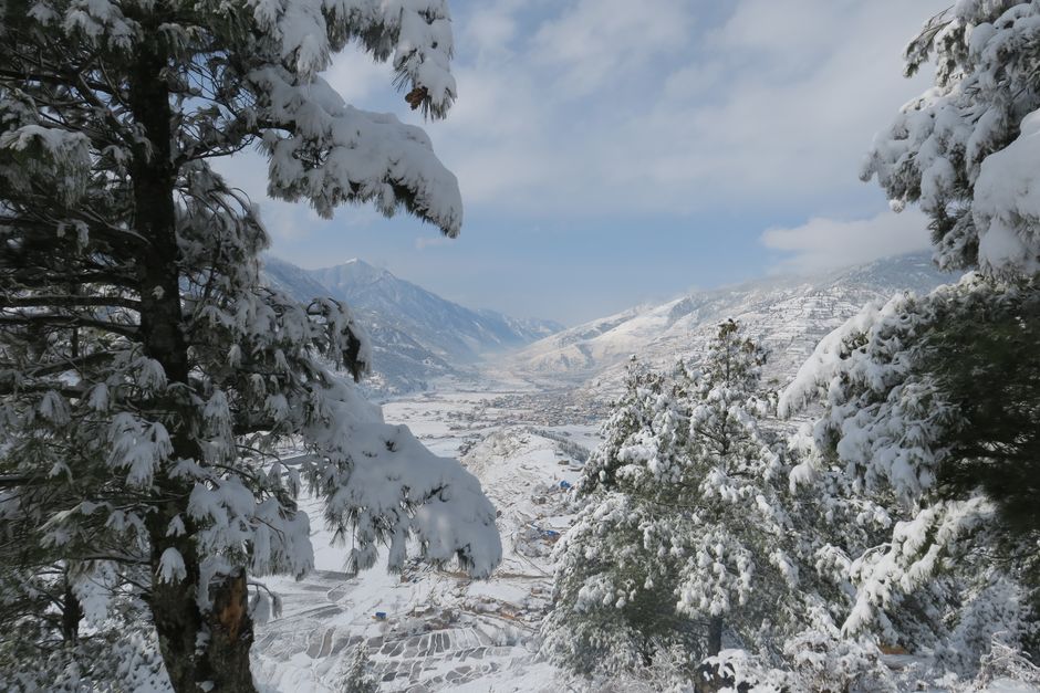 A serene winter landscape of snow-covered mountains and pine trees.