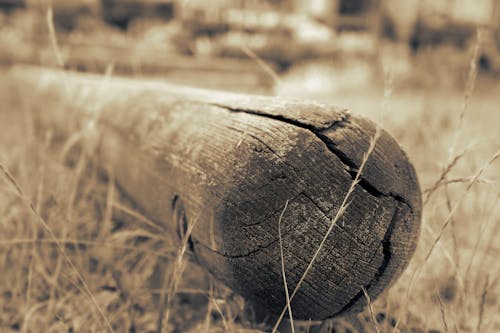 Free Close Up Photo of Wood Lumber Stock Photo