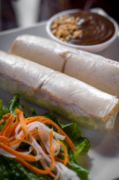 Delicious fresh spring rolls served with a flavorful peanut sauce and fresh vegetable salad.