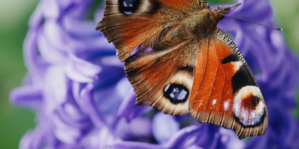 Khám Phá Thế Giới Đầy Màu Sắc Của Nhacaiuytinxn io - Nơi Bùng Nổ Những Cảm Xúc