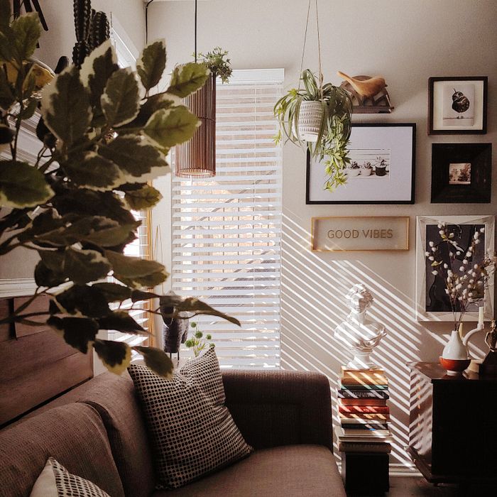 Living room full of plants in warm natural light — photo by Jorge A Baez on Pexels
