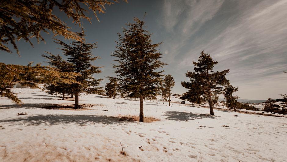 Snow-capped Troodos Mountains in Cyprus during winter