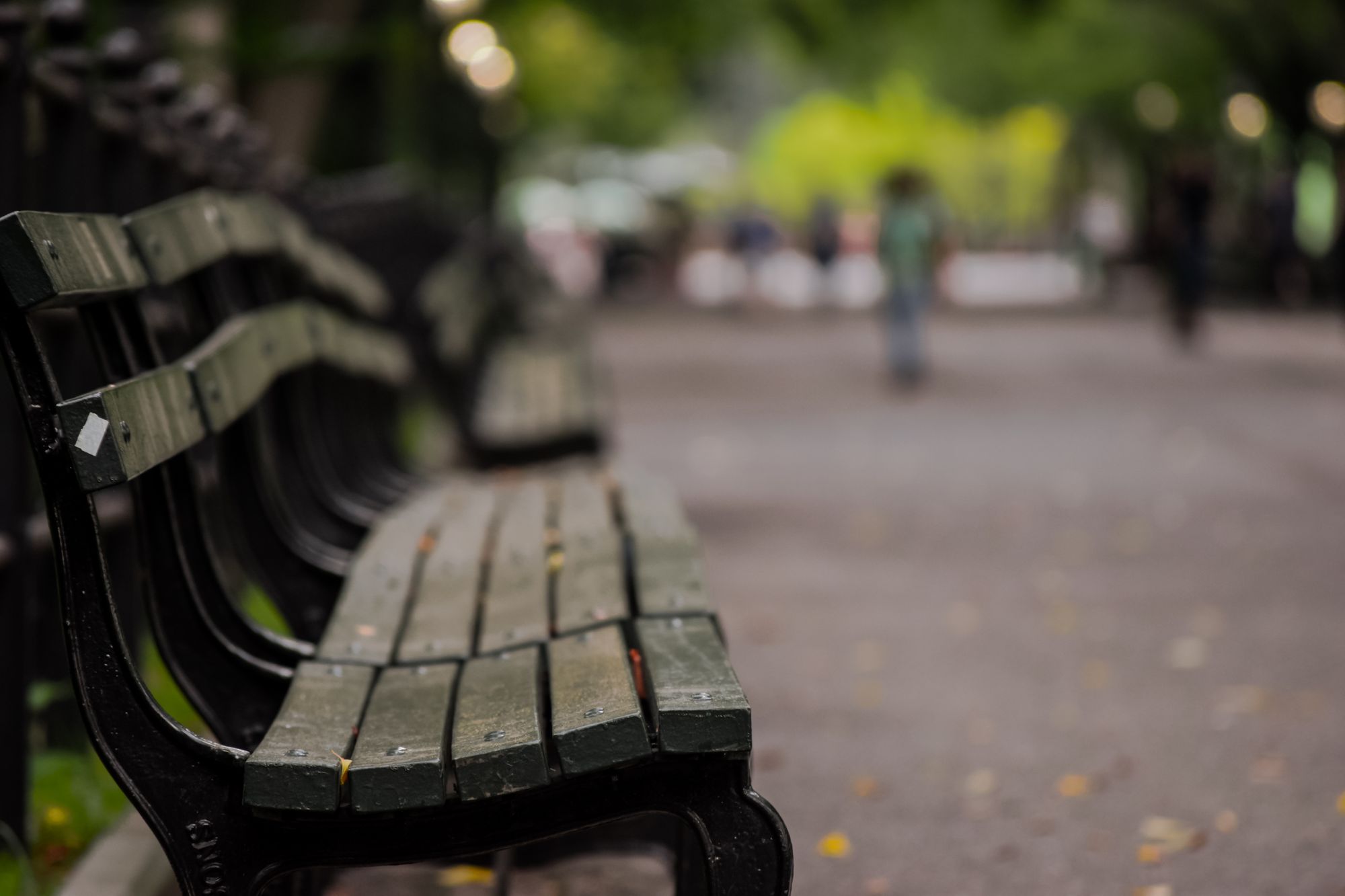 Palomas posadas sobre una banca de madera en un parque de Nueva York con árboles al fondo