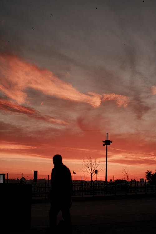 Silhouette of a Man Against a Scenic Sunset Sky