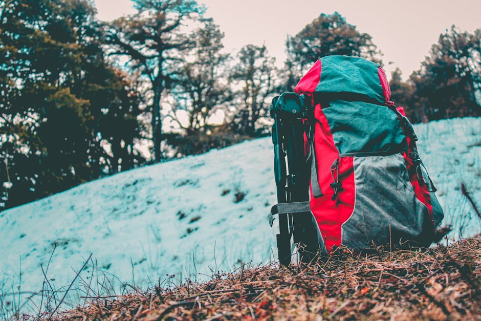Sea to Summit Aeros Premium Pillow