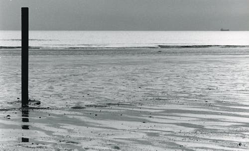 모래, 바다, 블랙 앤 화이트의 무료 스톡 사진