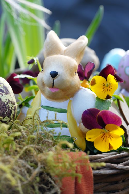 Free A cheerful Easter bunny figurine surrounded by vibrant pansies and decorative eggs, capturing the festive spirit. Stock Photo