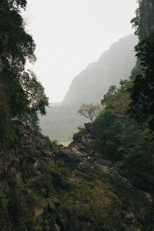 Path in Mountains