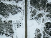 一张航拍照片中，一辆汽车正穿过冬季森林的雪地