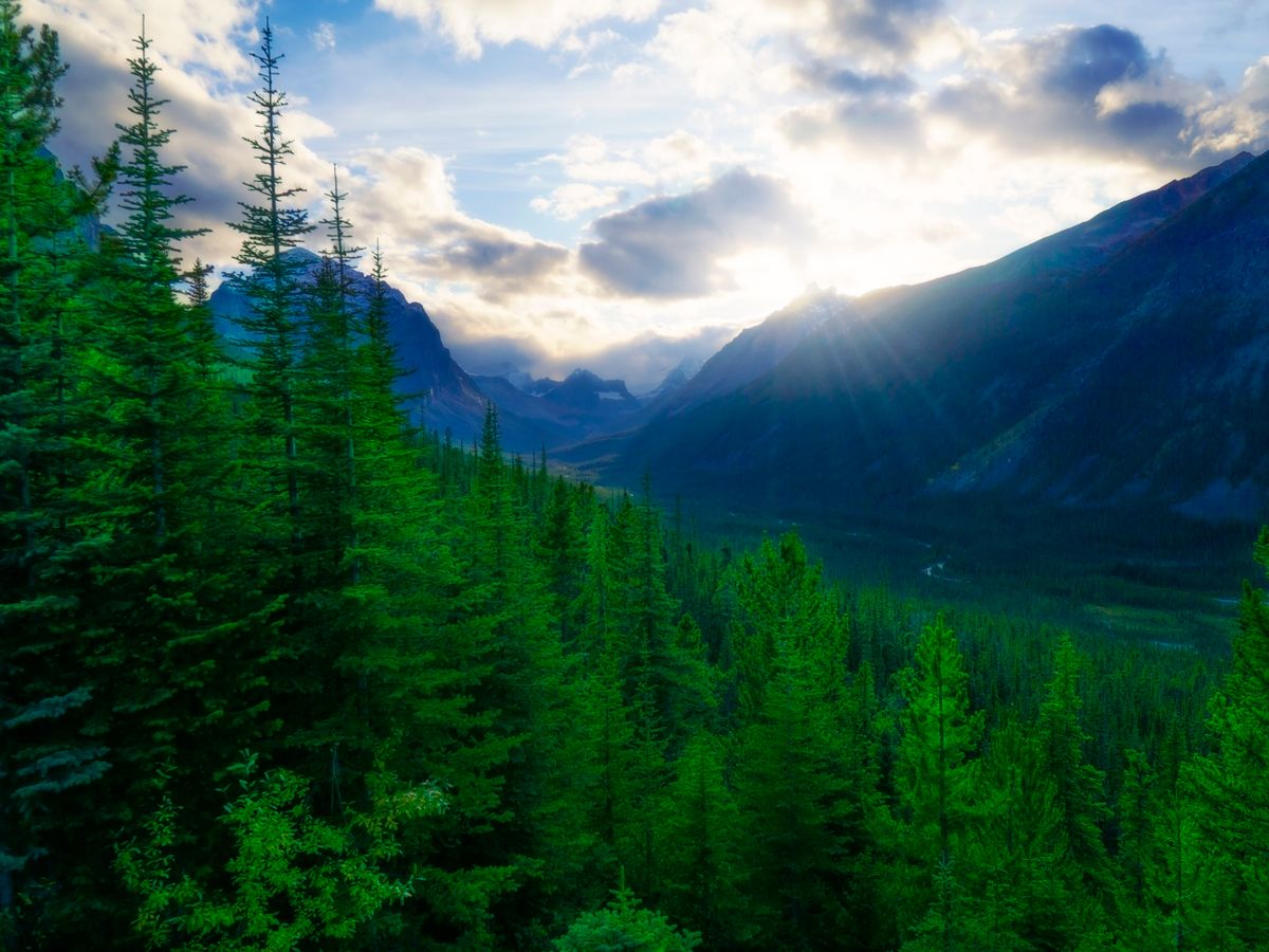 4 Day Women's Spring Self Love Retreat in Alberta, Canada 3