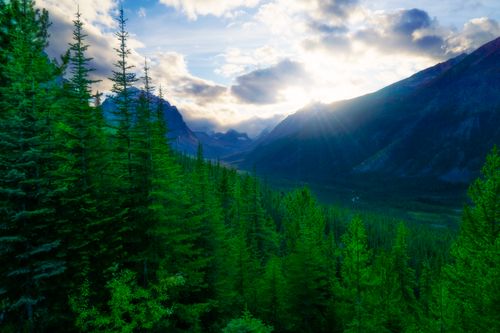 Free Explore the scenic beauty of Jasper National Park's sunlit mountain valley, captured at dawn. Stock Photo