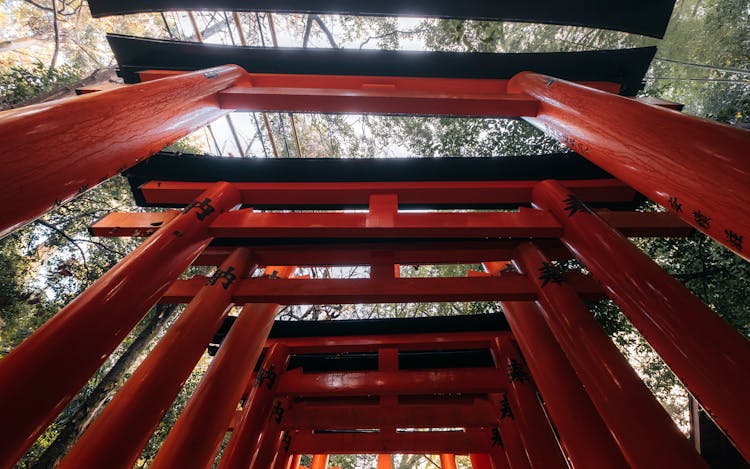 Low-Angle Shot Of Torii Gates In Japan