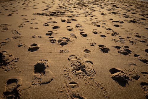 Photograph of Footprints on Brown Sand