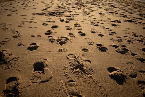 Free Footprints on a sunlit sandy beach creating a natural pattern and texture. Stock Photo