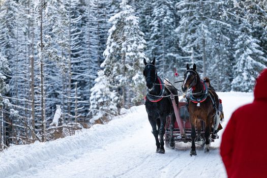 Photograph of a Chariot on the Snow
