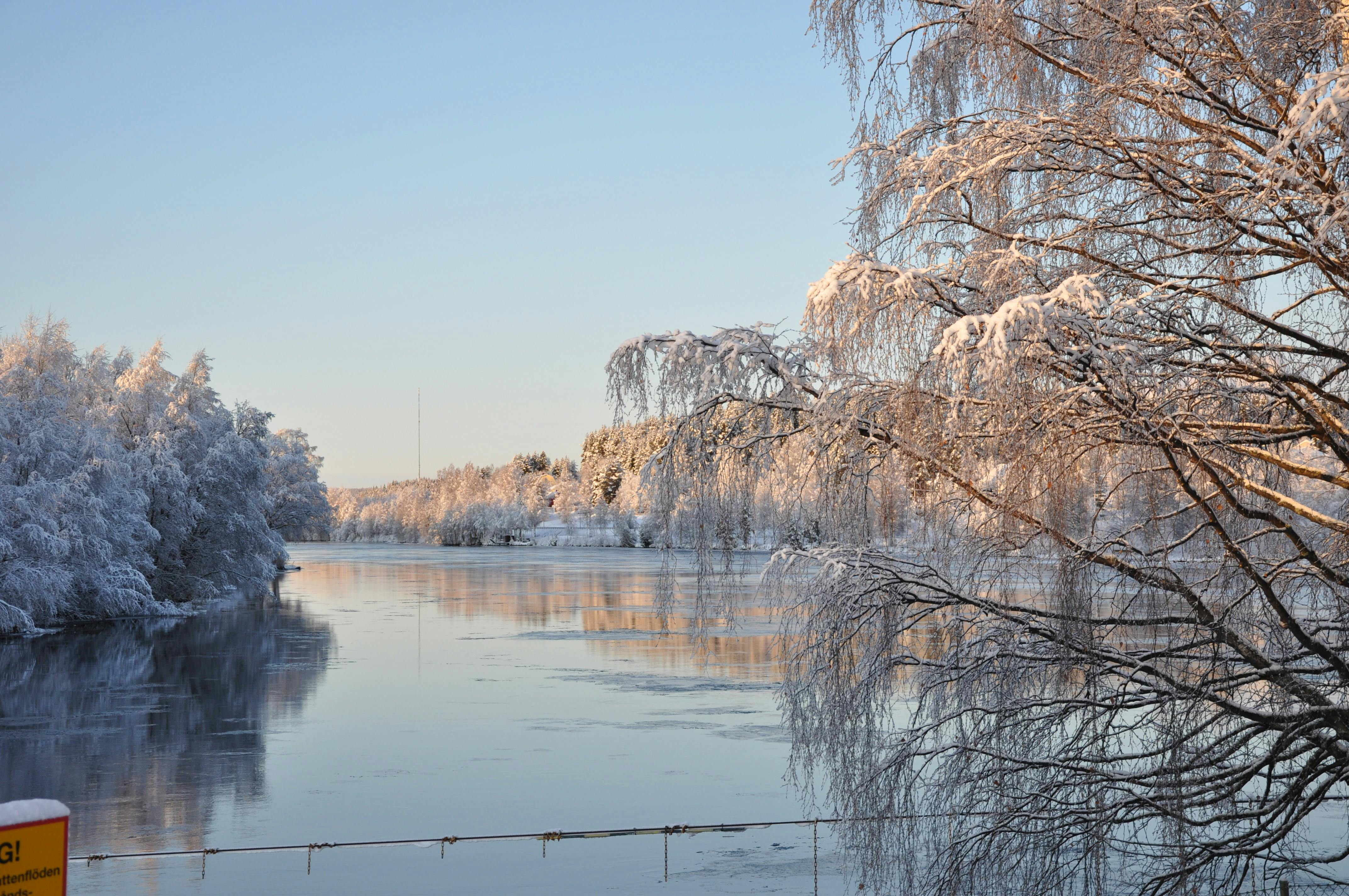 Bezkoshtovne Stokove Foto Zima Zimovij Pejzazh