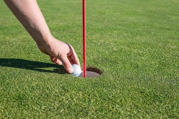 Photo Of A Person's Hand Taking Out A Golf Ball From A Hole