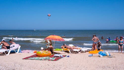 Free stock photo of beach, golubitskaya, on the sea beach