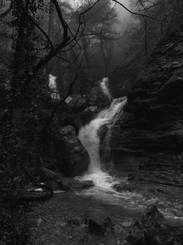 Captivating black and white image of a waterfall in a misty forest.