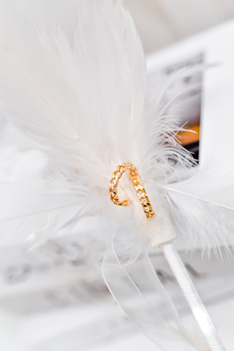 Gold Rings On White Feather