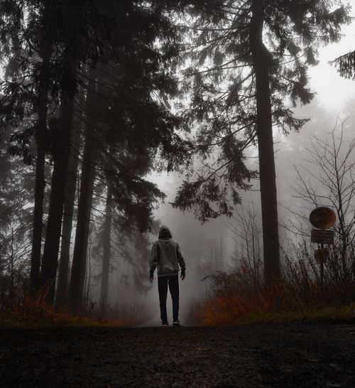 Free Silhouette of a person in a hoodie walking in a misty forest, surrounded by tall trees. Stock Photo