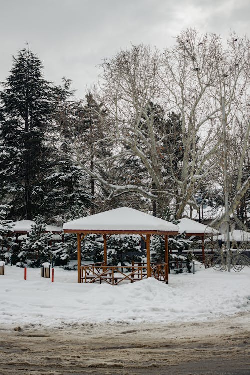 A Park in Winter