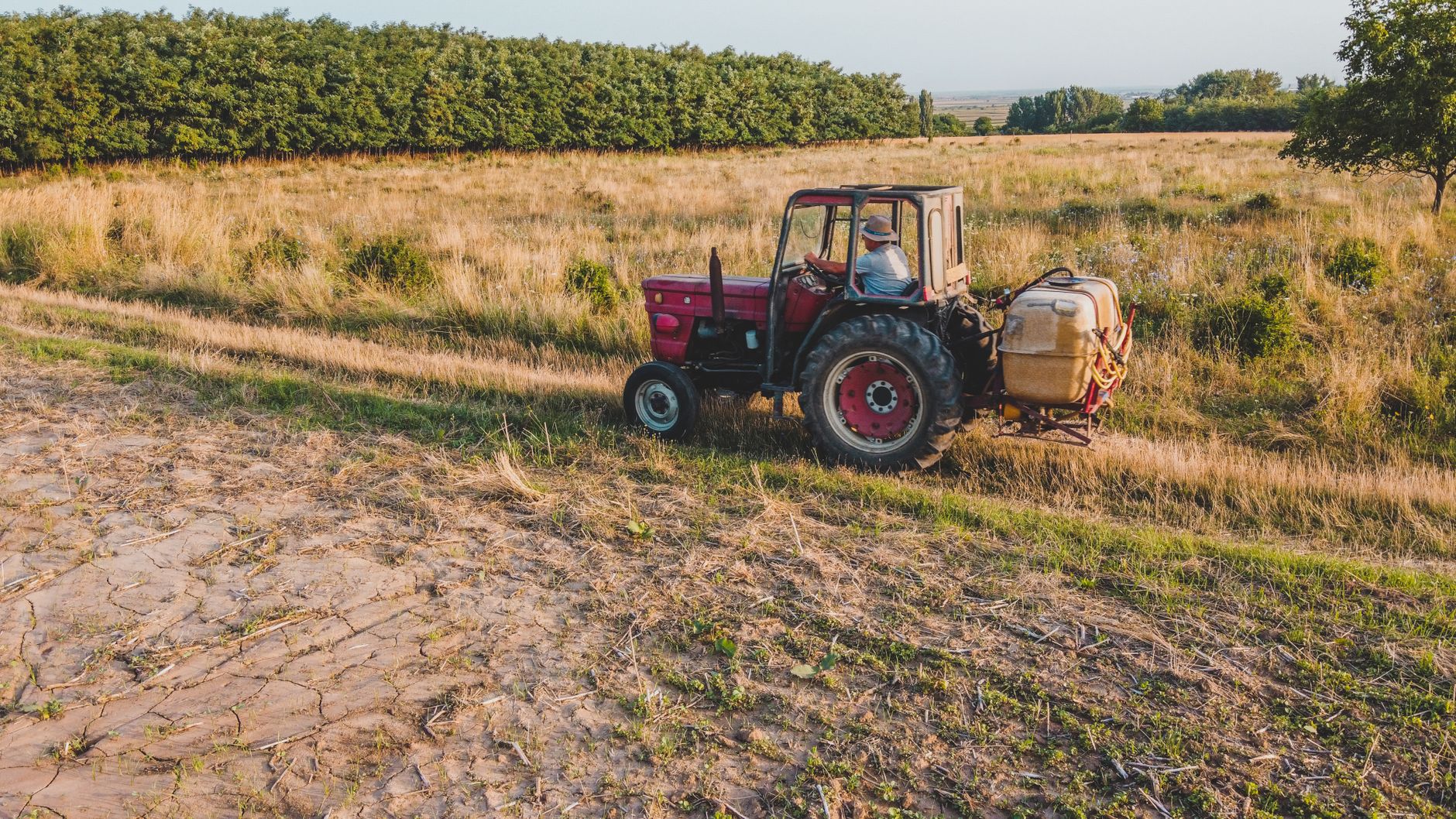 A stunning view of a farmer driving a tractor through lush Romanian farmland at daytime.