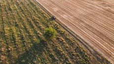 Person in Black Jacket Walking on Brown Field