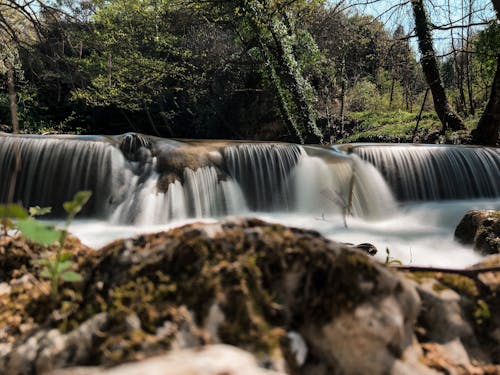 Immagine gratuita di acqua corrente, cascata, foresta