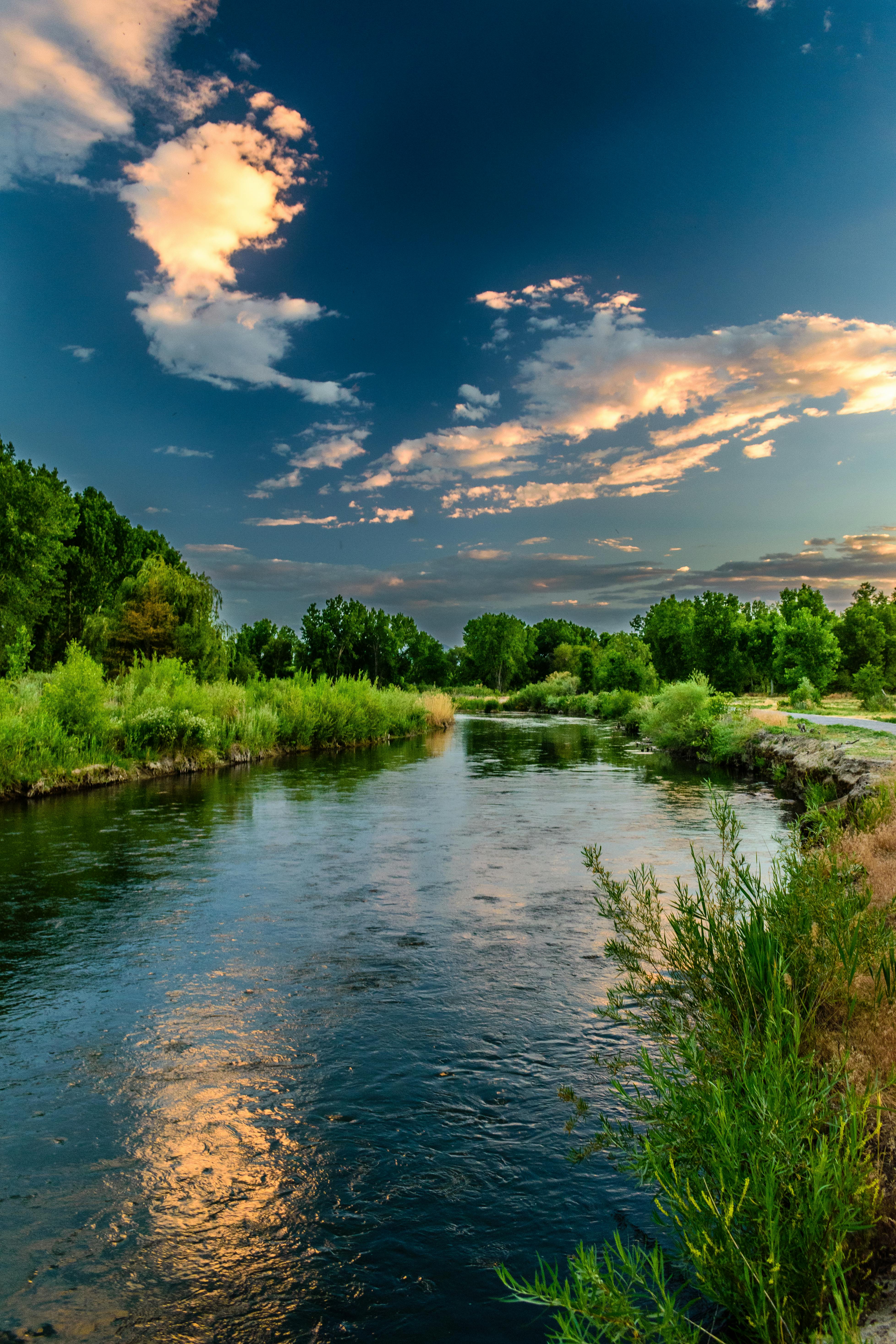 1000 Mountain River Pictures  Download Free Images on Unsplash