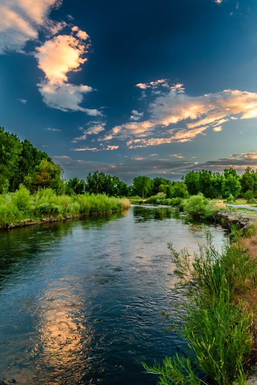 Free Body of Water and Green Field Under Blue Sky Photo Stock Photo