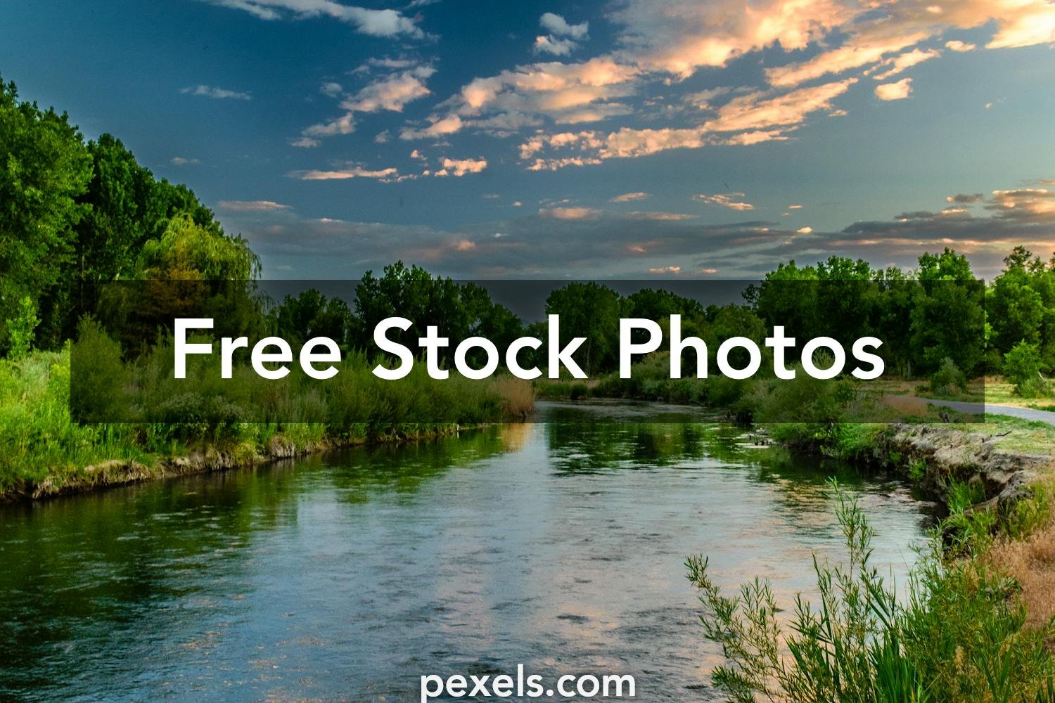 40,000+ Best River Bank Photos · 100% Free Download · Pexels Stock Photos