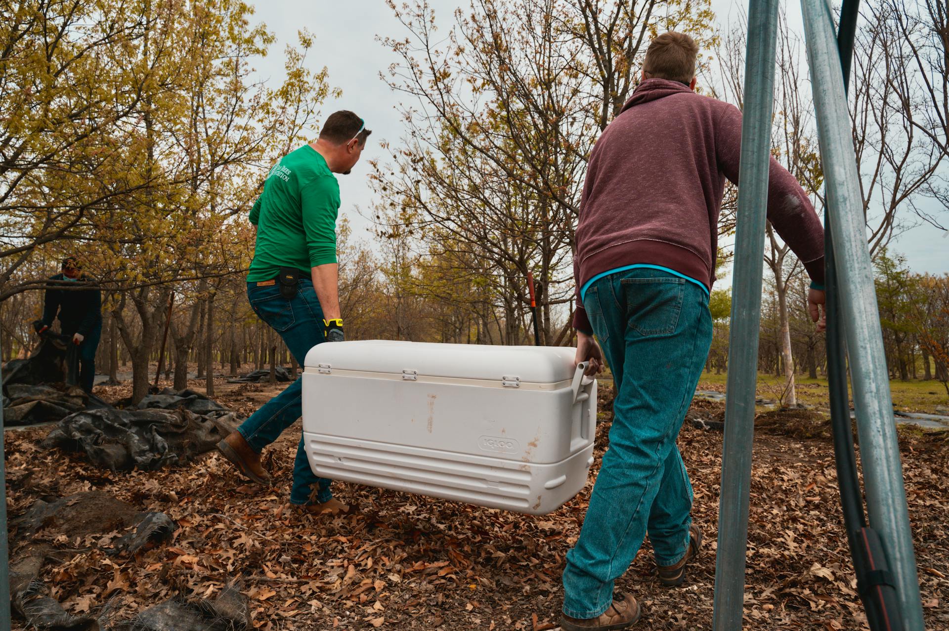 Two adults carrying a large cooler through a leafy park during fall.