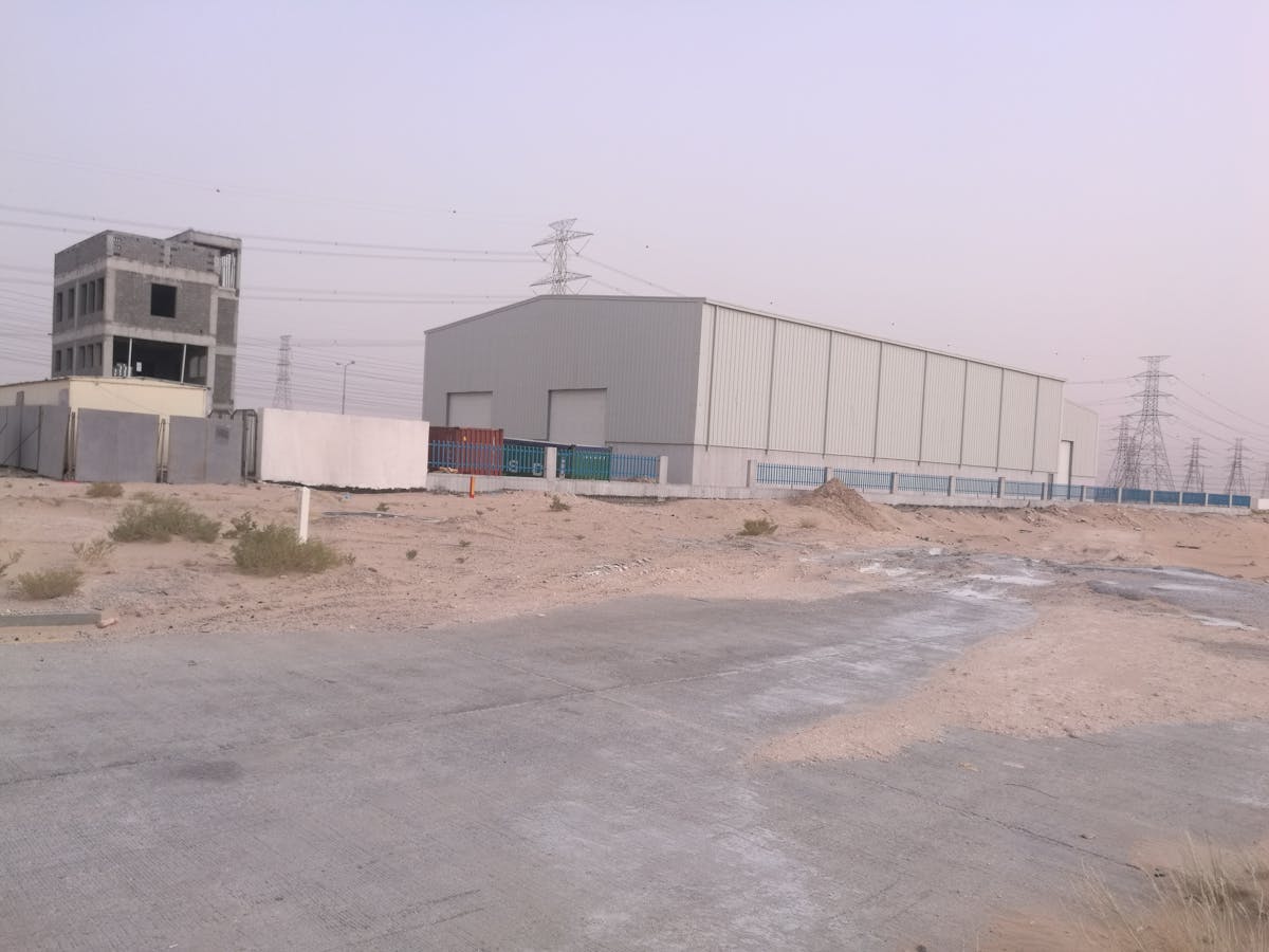 New Forest woodland trail with autumn leaves. Photo via Pexels.