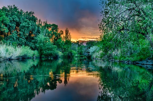 Základová fotografie zdarma na téma břeh řeky, cestování, denní světlo