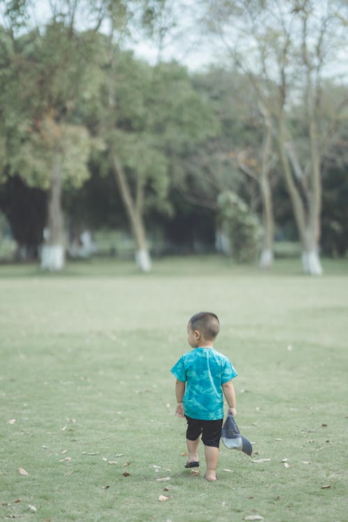 Back View of a Little Boy Walking in the Park 