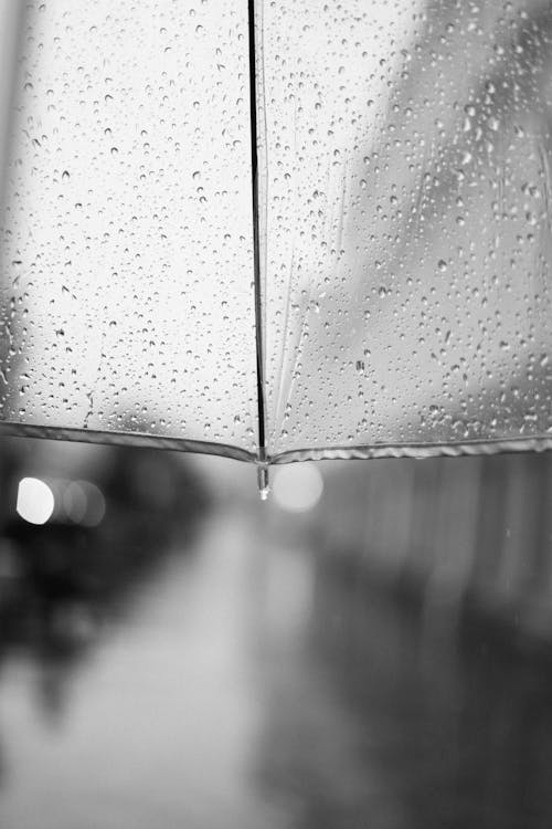 Droplets of Water on an Umbrella in Grayscale Photography