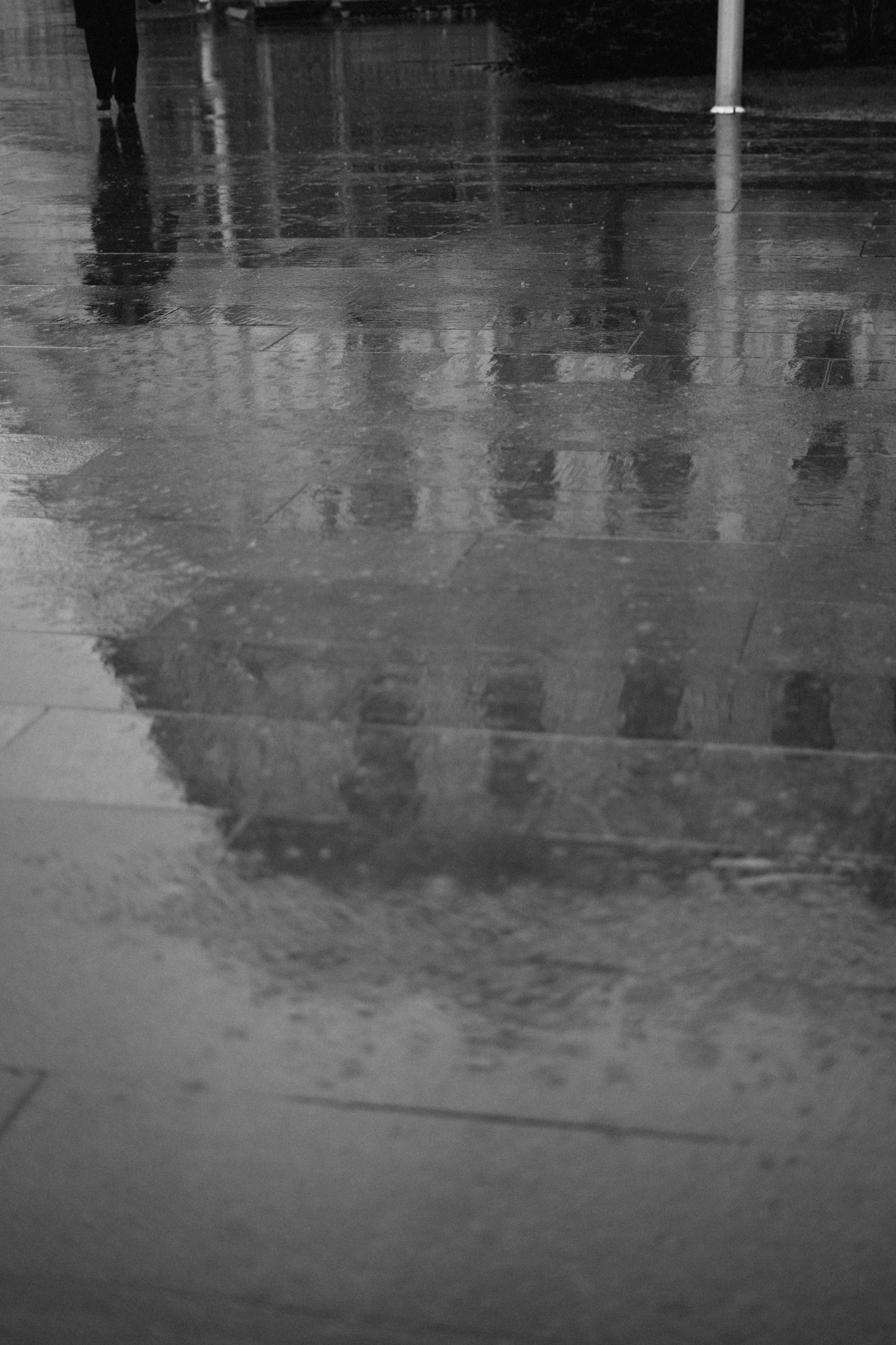 A Grayscale of a Wet Pavement · Free Stock Photo
