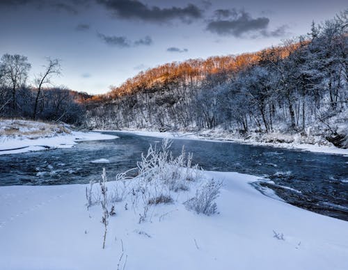 Kostenloses Stock Foto zu einfrieren, fluss, kalt