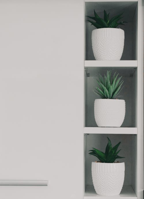 Foto stok gratis homeplants, kabinet putih, pot keramik